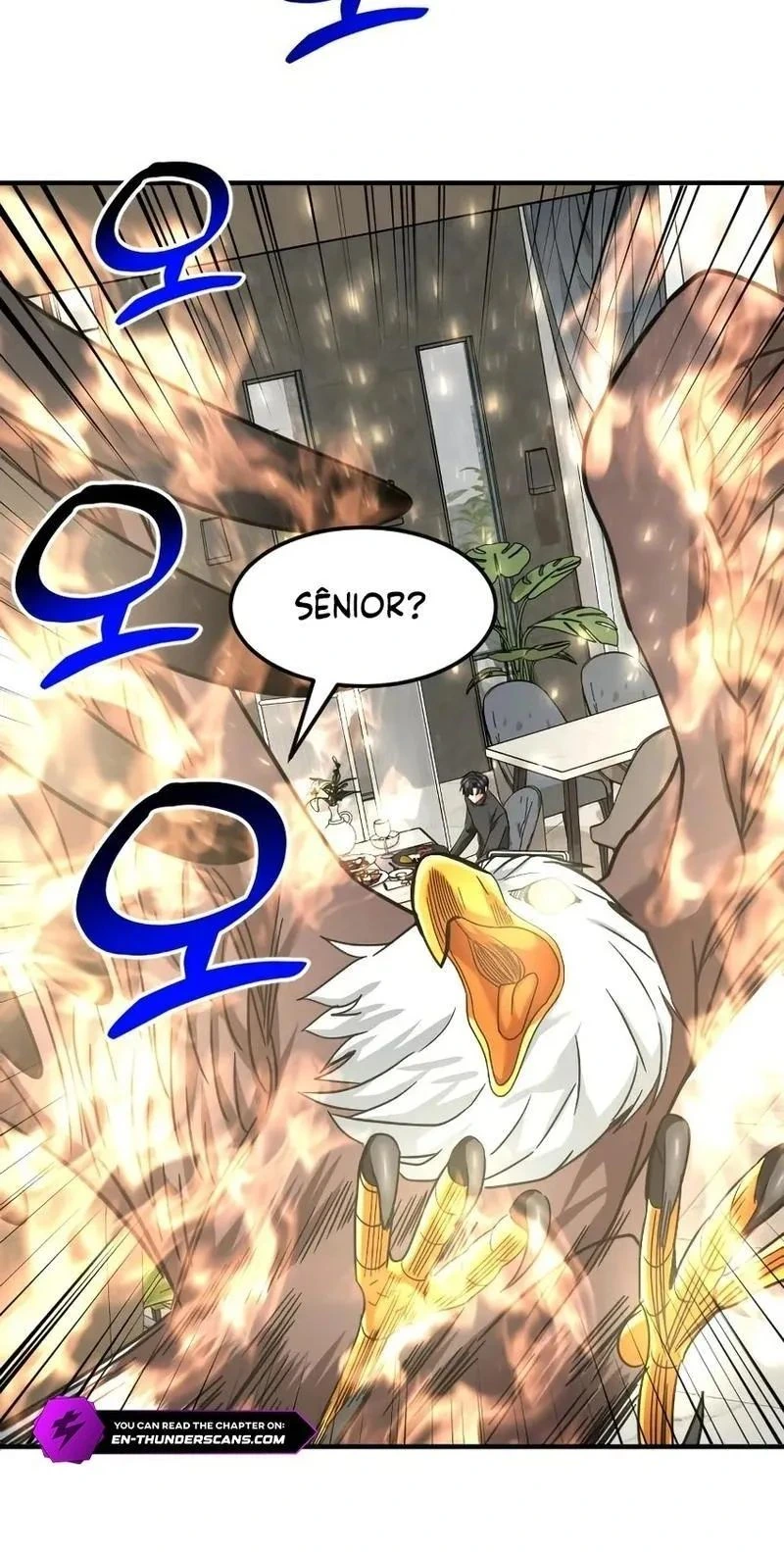 Página 117