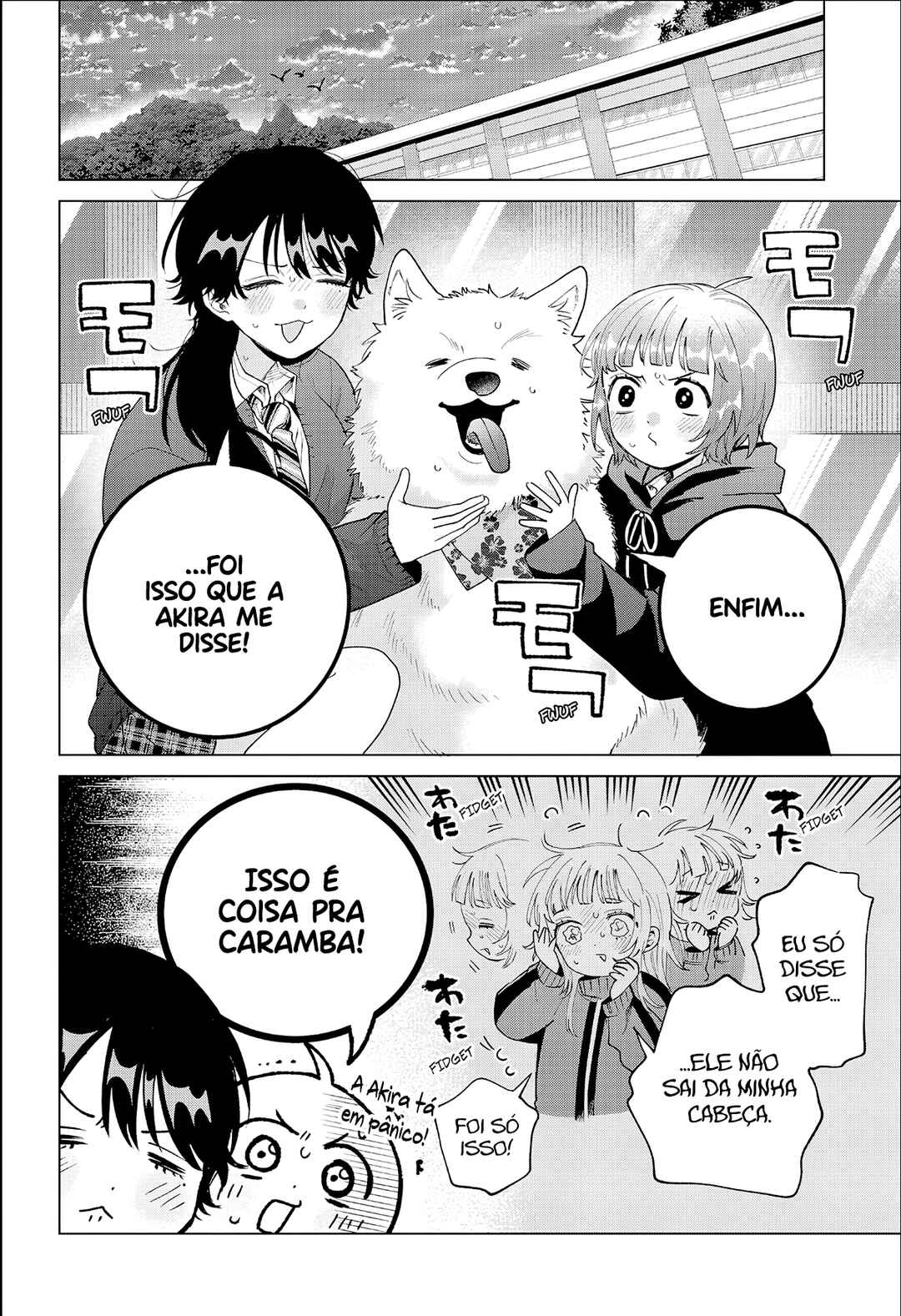 Página 17