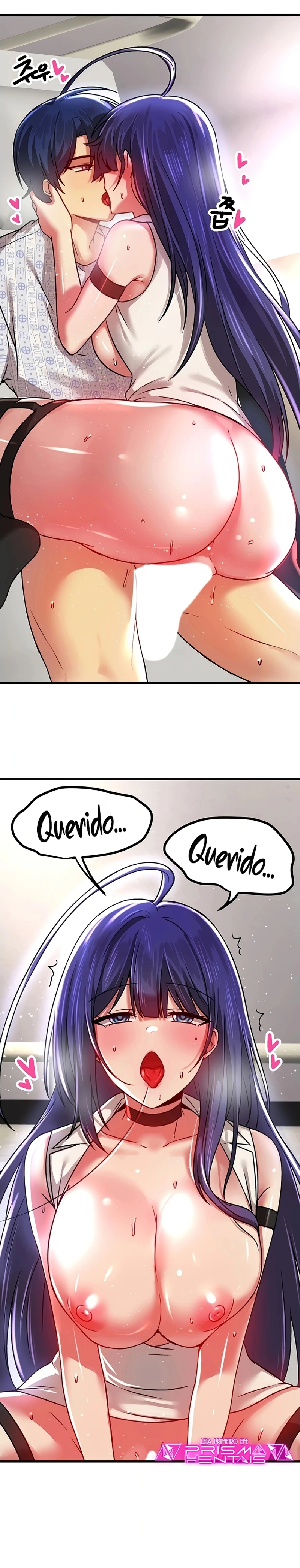 Página 14