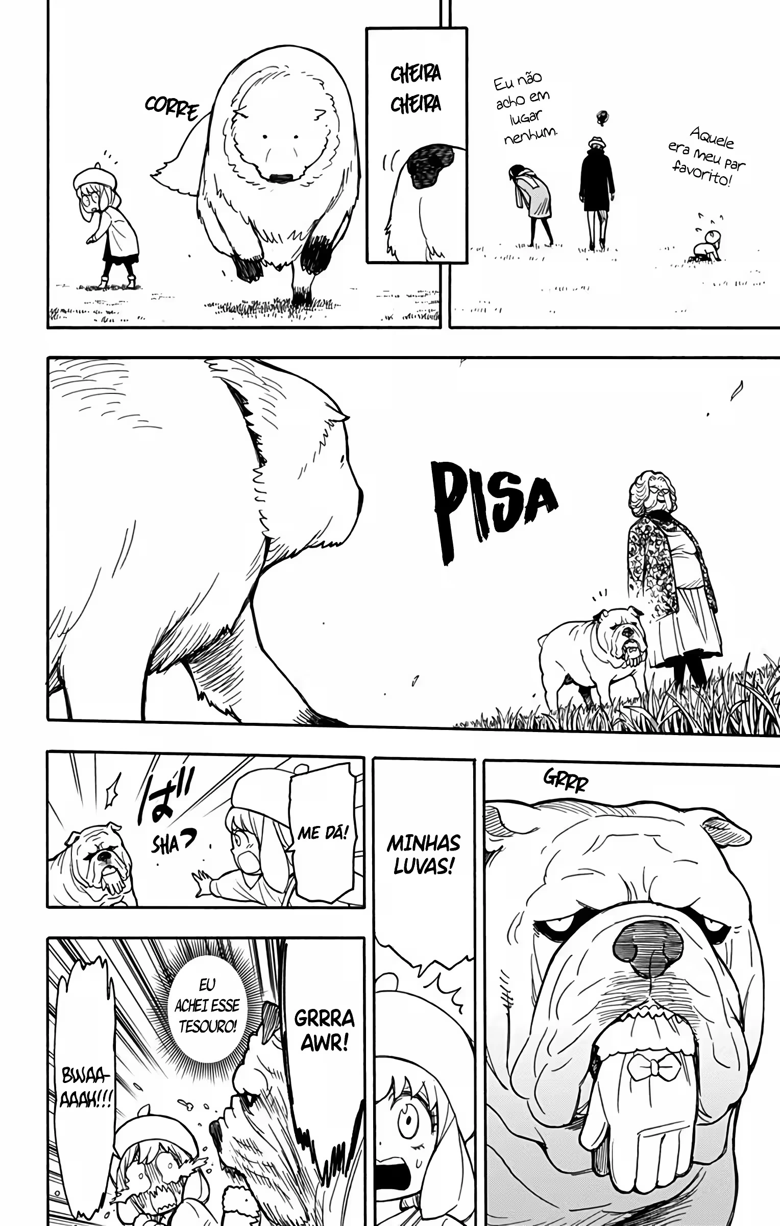 Página 17