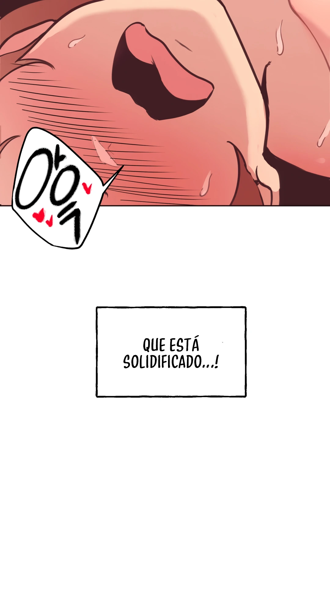 Página 81