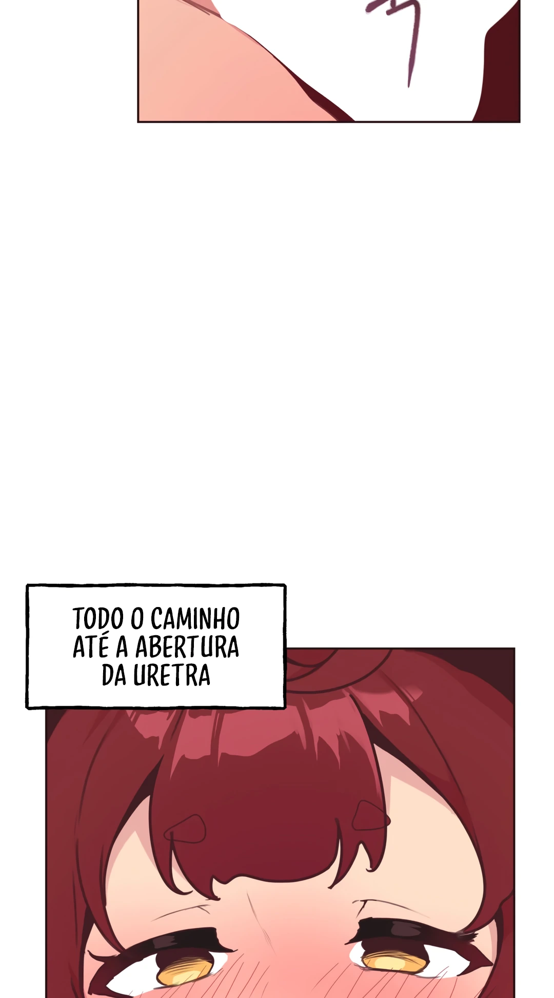 Página 41