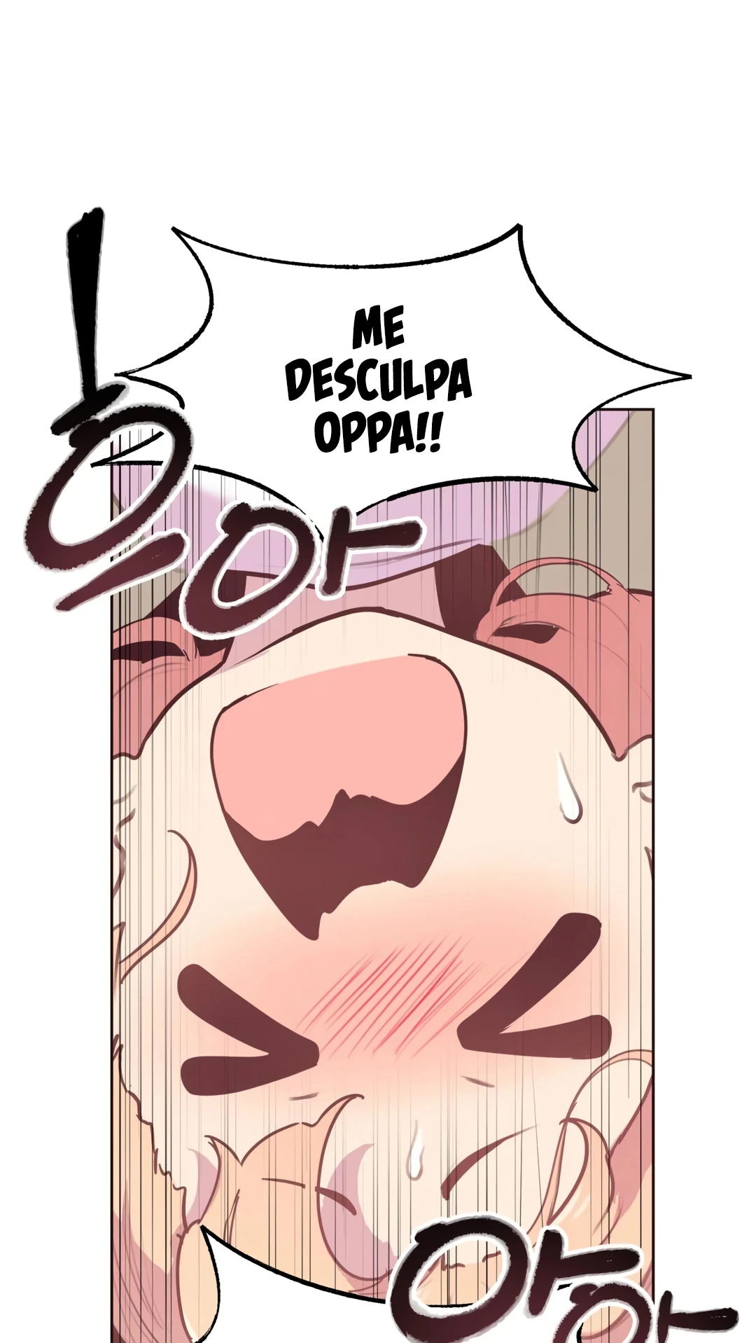 Página 52