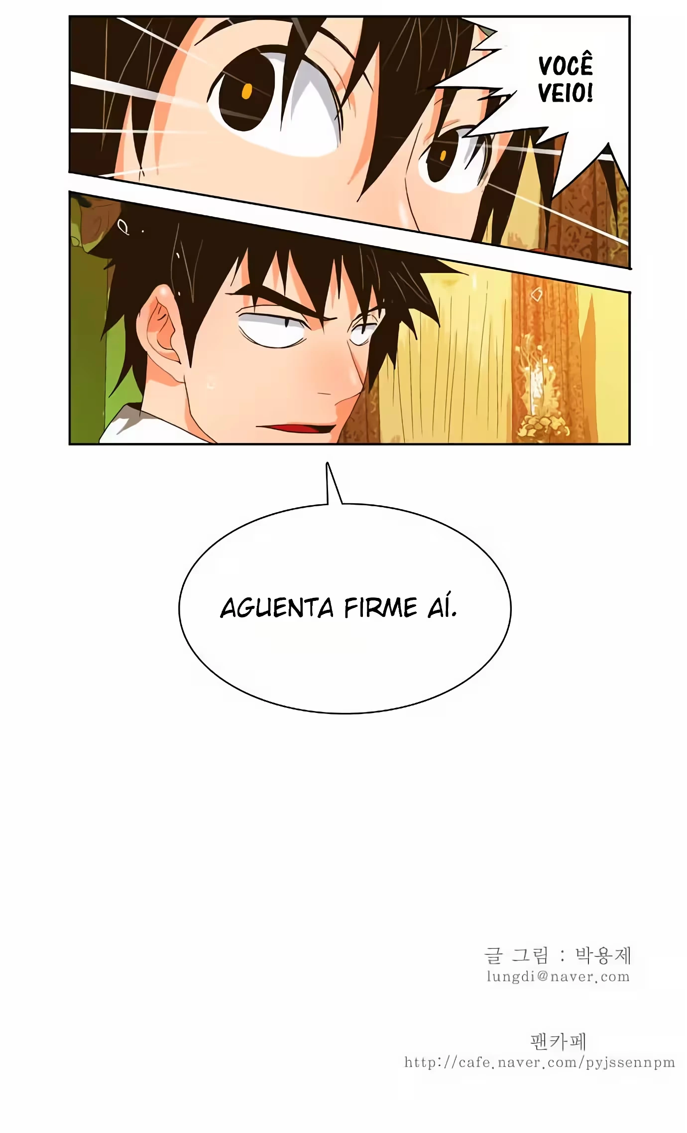 Página 44