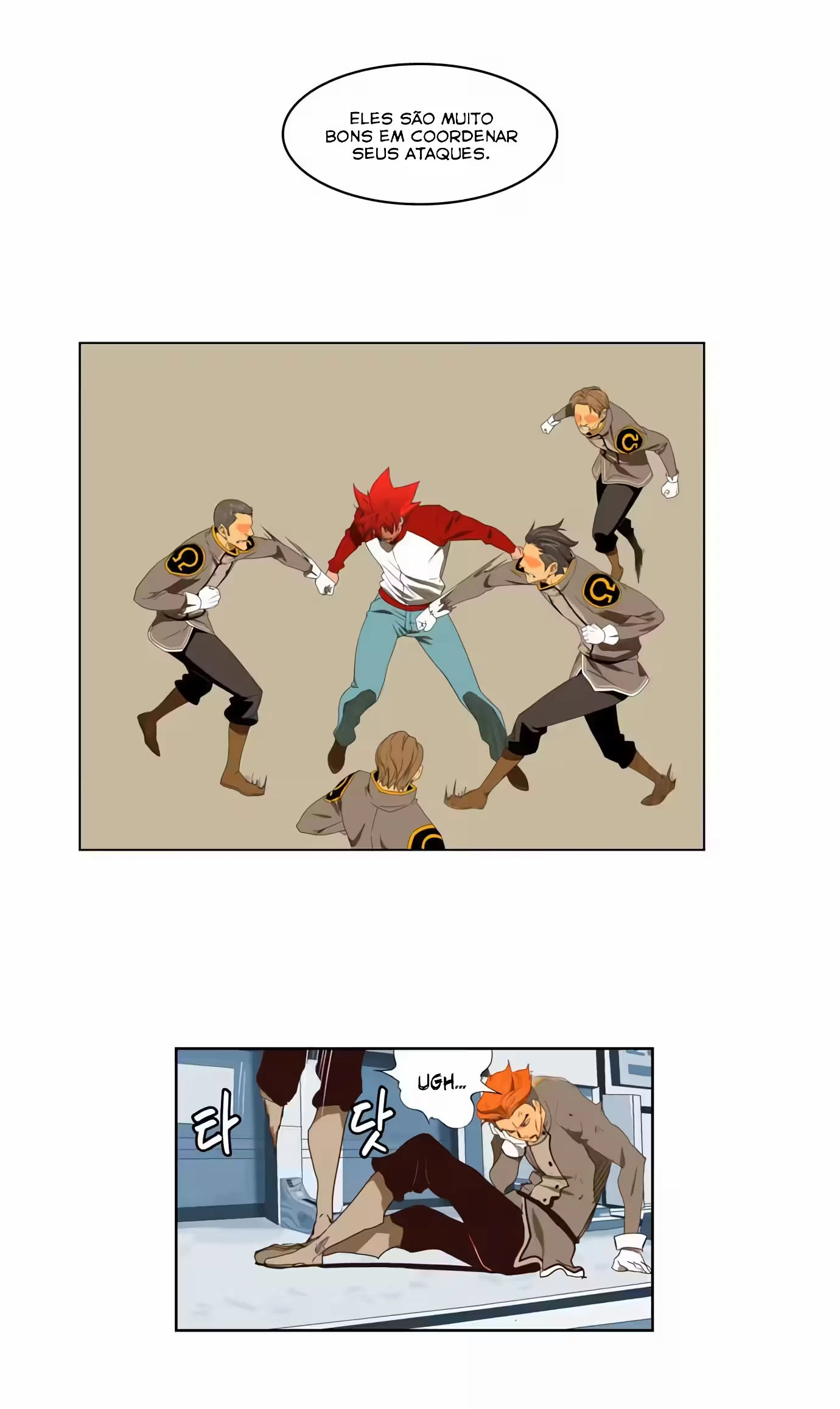 Página 5