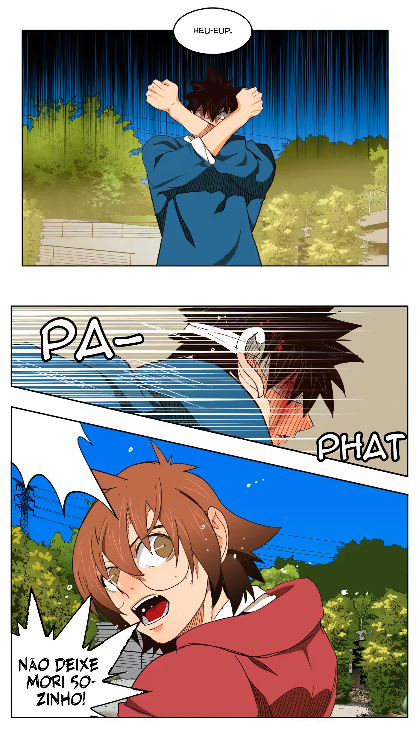 Página 17