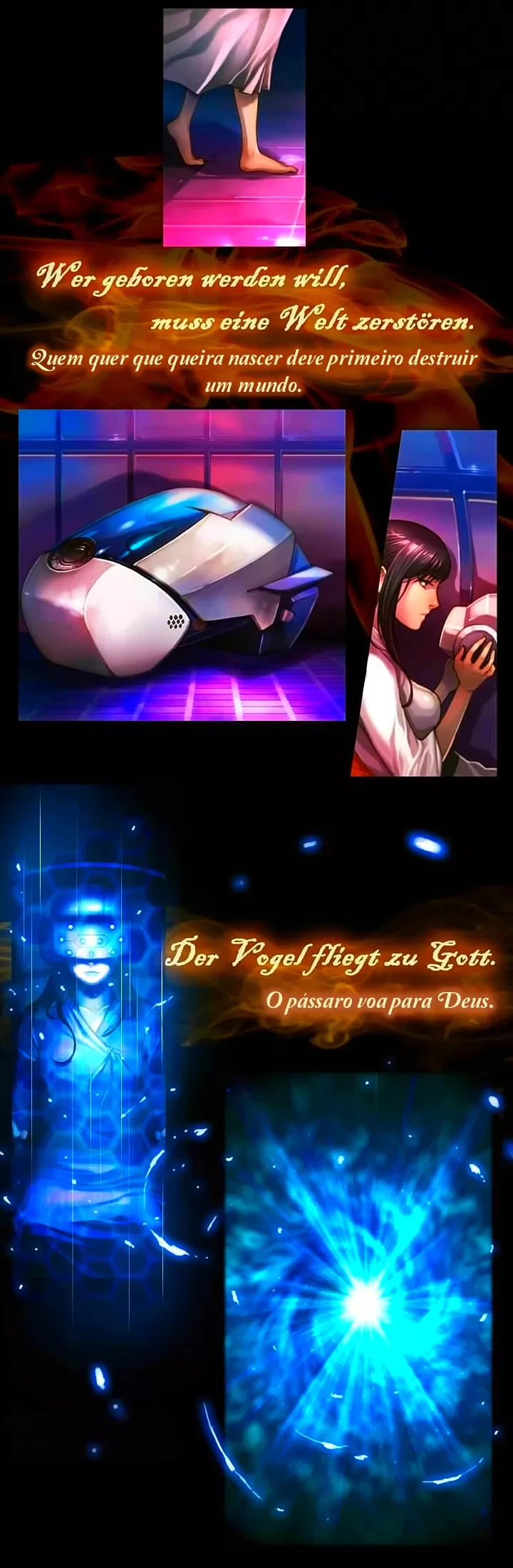 Página 3