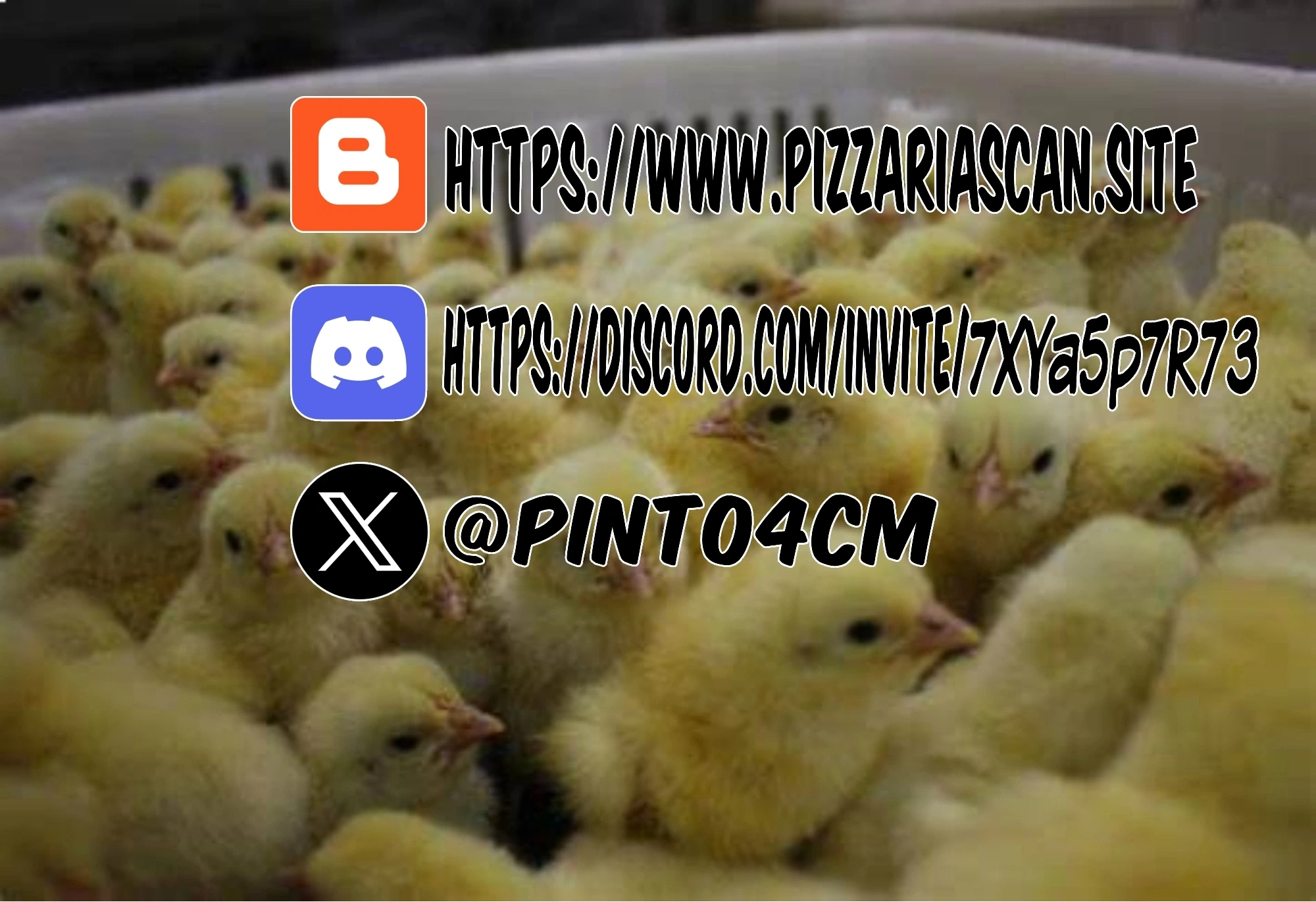 Página 20