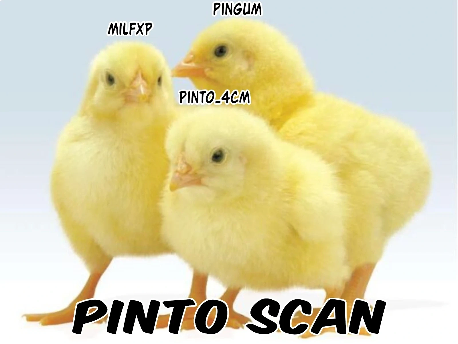 Página 1
