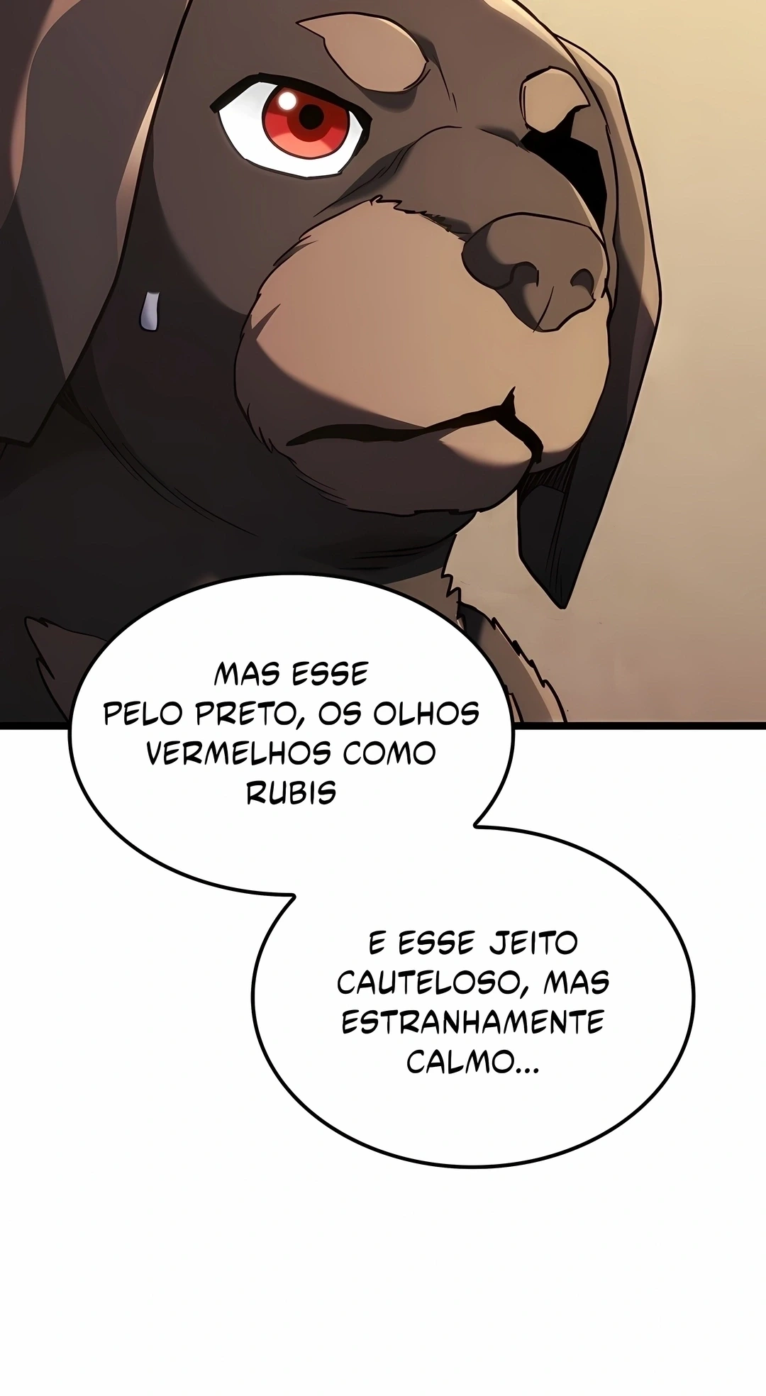 Página 113