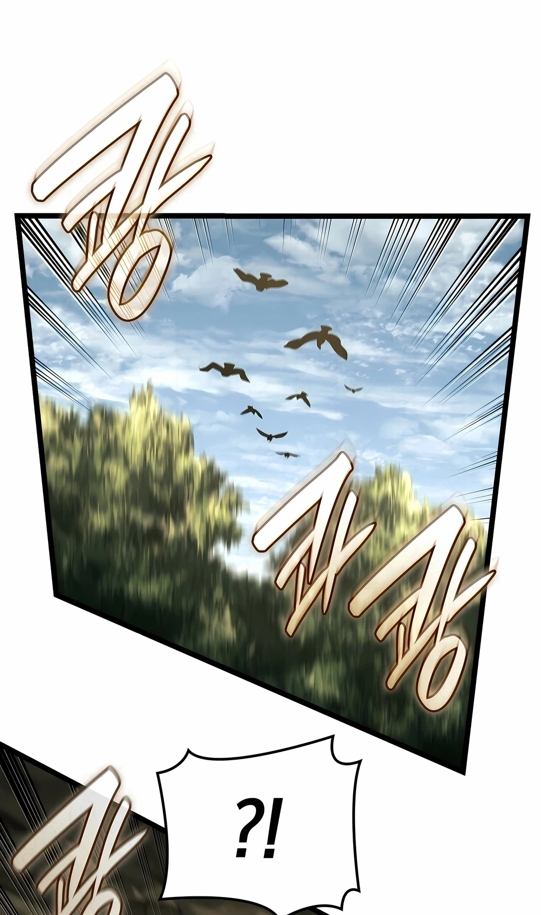 Página 80