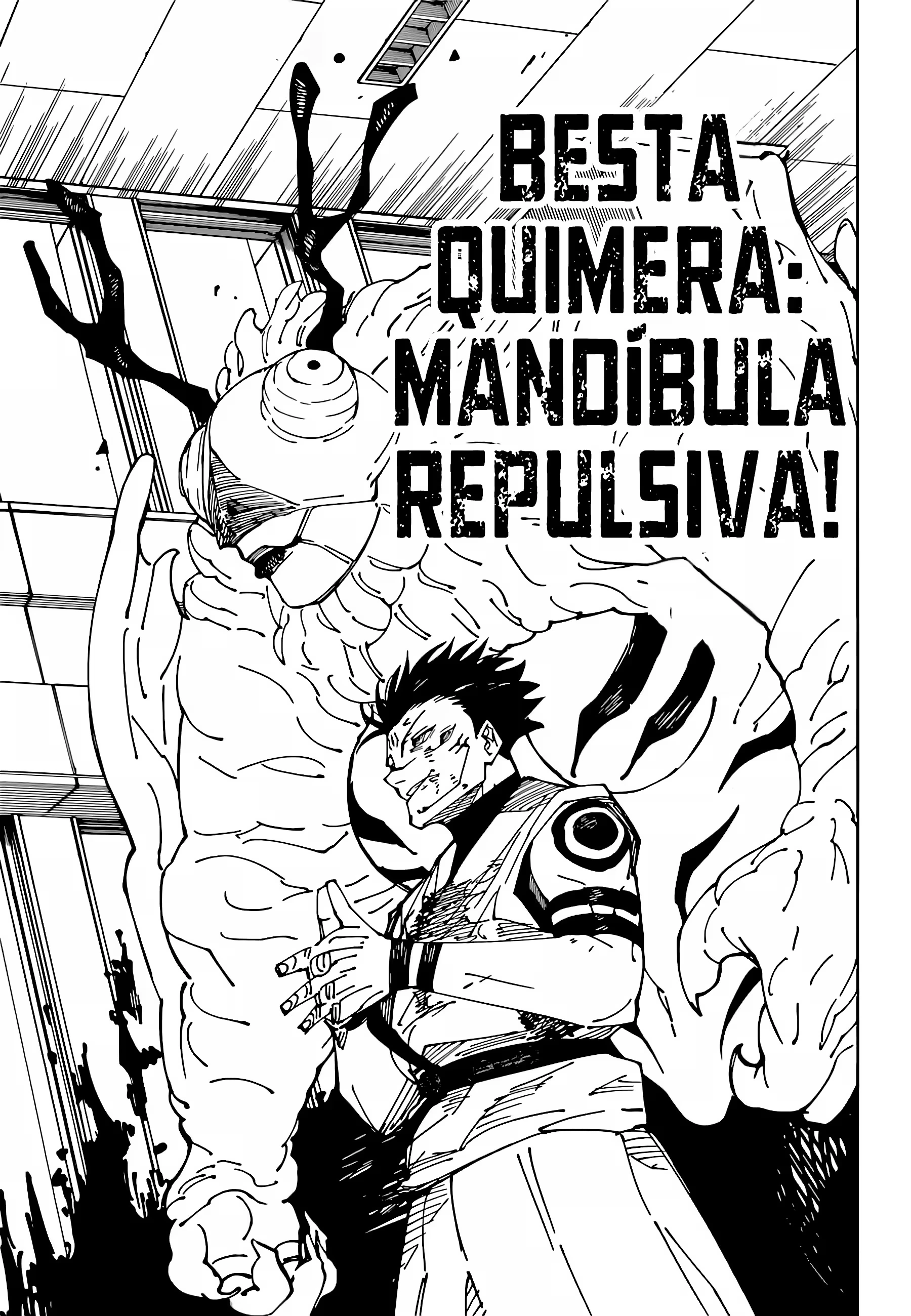 Página 15