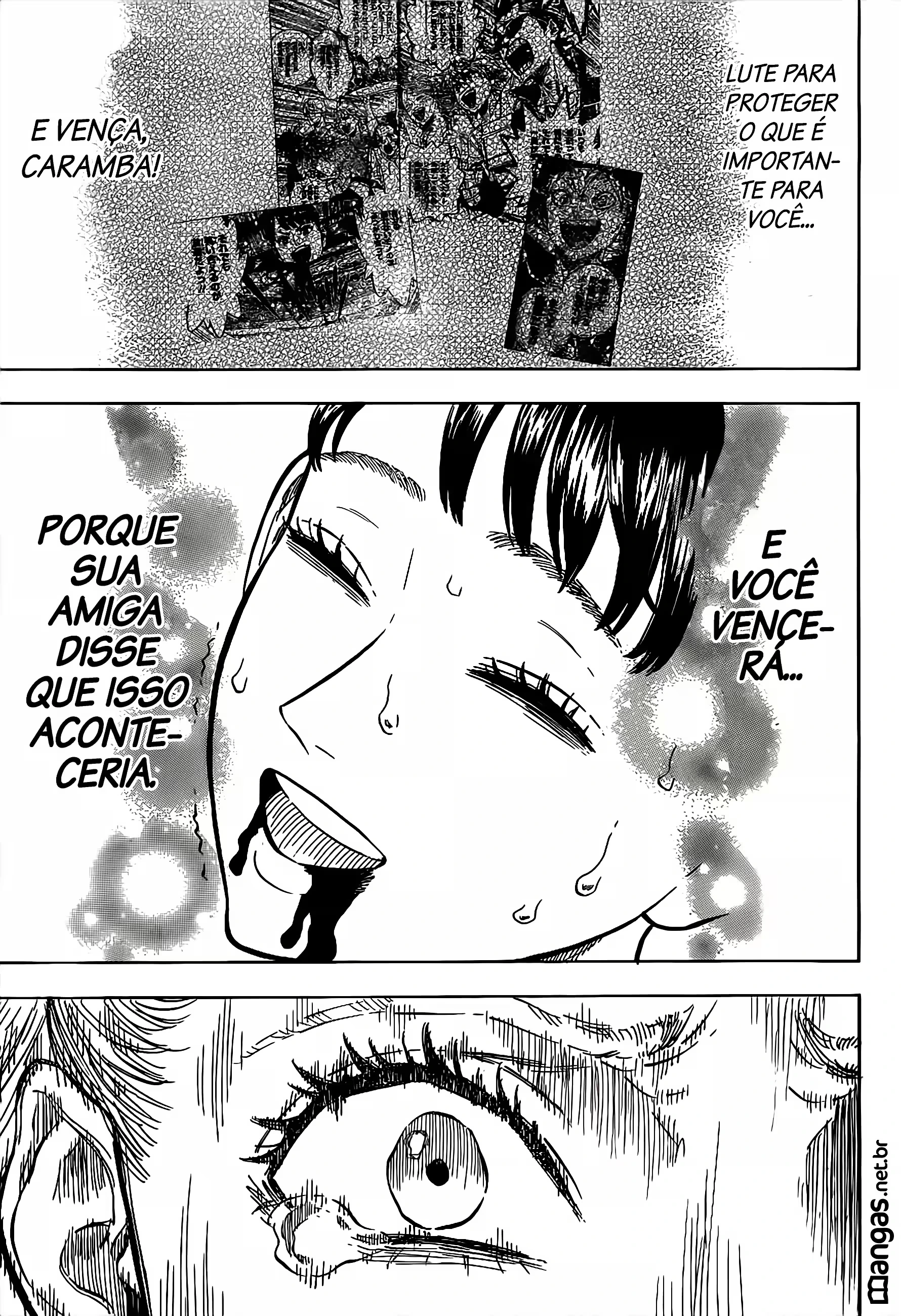 Página 17