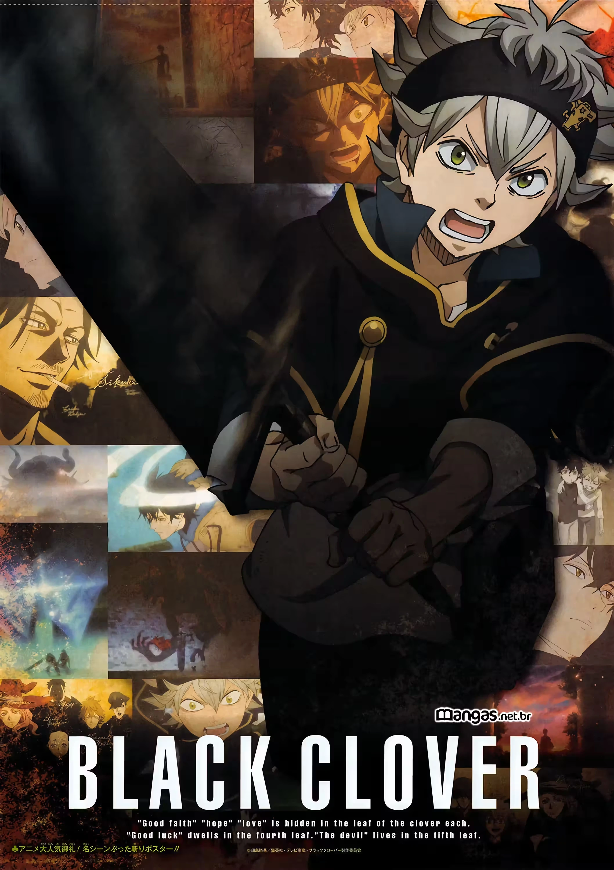 Página 5